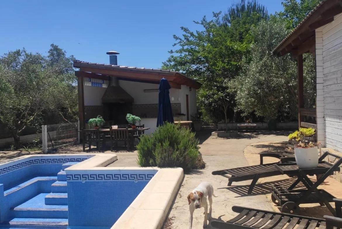 Código REGA für Pferde in Spanien